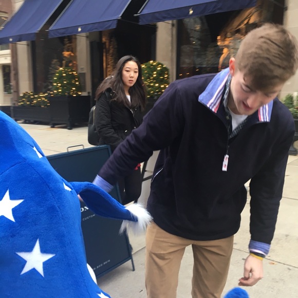 Meet your Posher, Allie - Picture 1 of 1